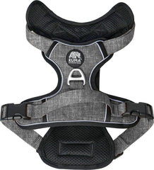 Lazy Bear Dog Harness