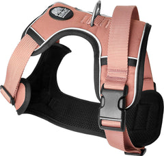 Lazy Bear Dog Harness