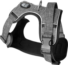 Lazy Bear Dog Harness