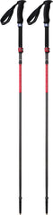 DynaLock™ Ascent Carbon 140cm Poles