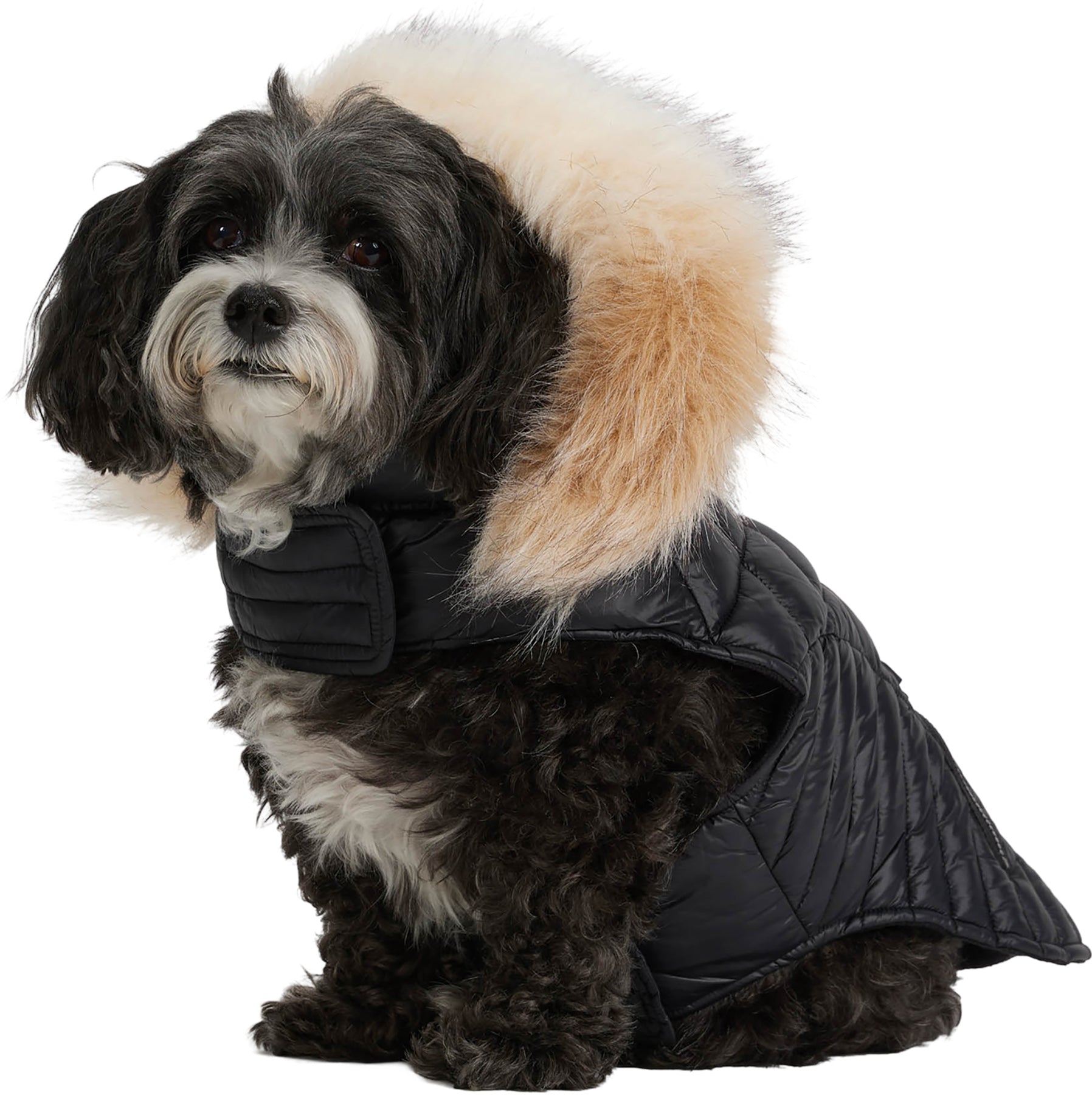 Zola Faux Fur Trim Jacket for Dogs