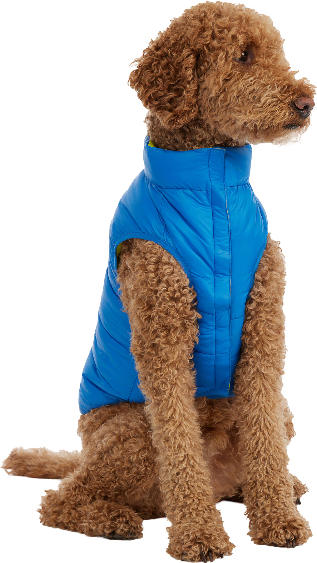 Cora Reversible Packable Puffer Jacket for Dogs