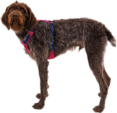 Hi and Light Lightweight Dog Harness