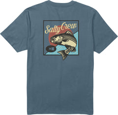 Striped Short Sleeve T-Shirt - Men's