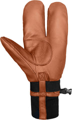 WWPB Gigatex 2-Finger Mittens - Men's