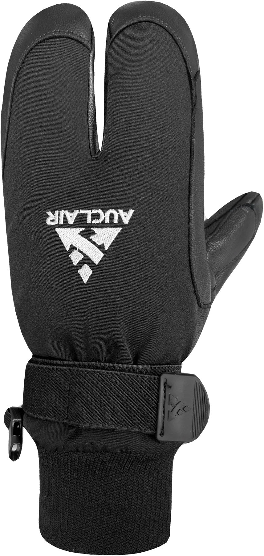 WWPB Gigatex 2-Finger Mittens - Men's