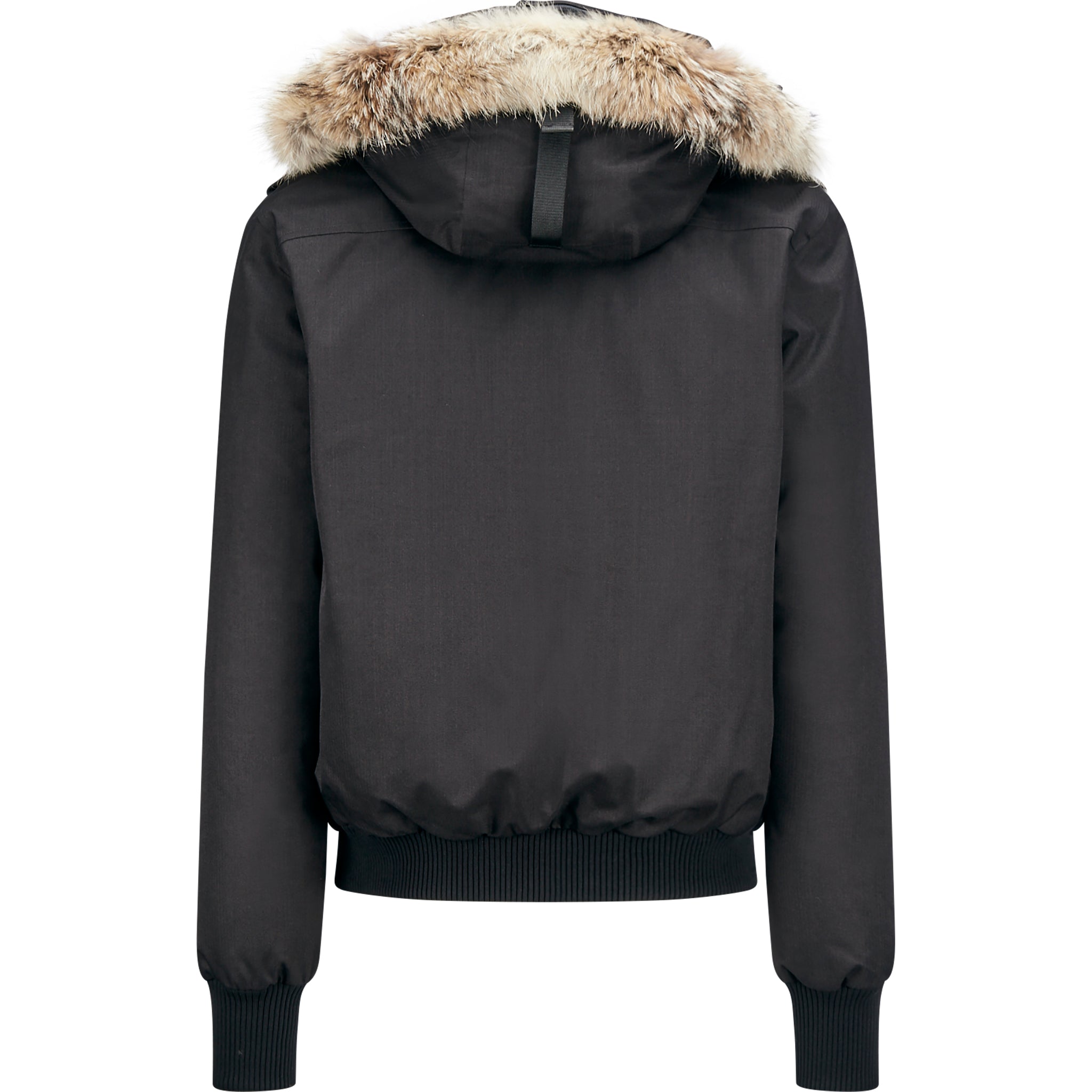 Cartel Bomber Down Jacket - Men's