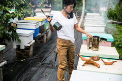 Maven X Slim Workpant - Women's