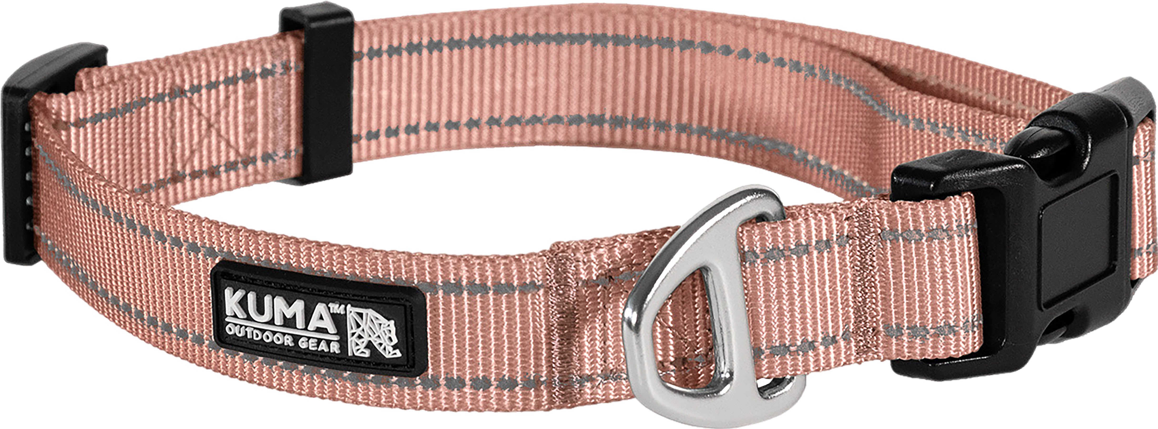 Lazy Bear Dog Collar