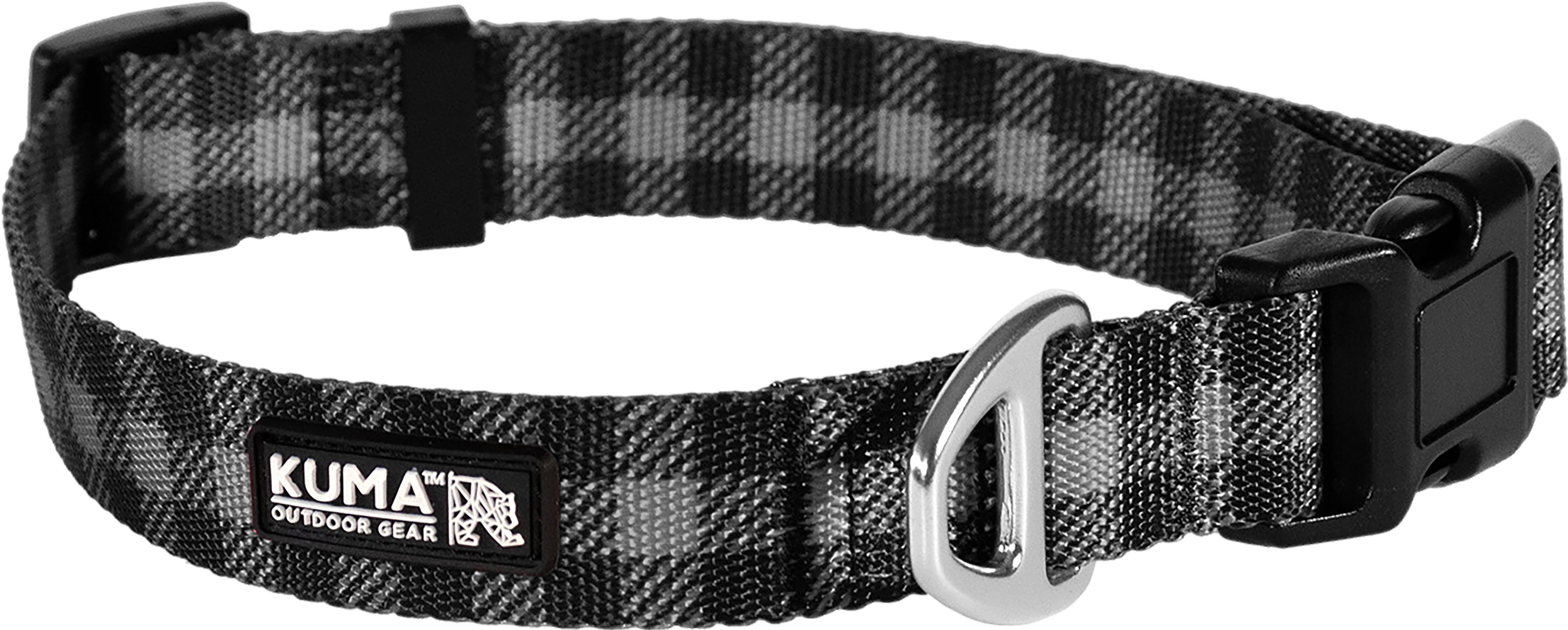 Lazy Bear Dog Collar