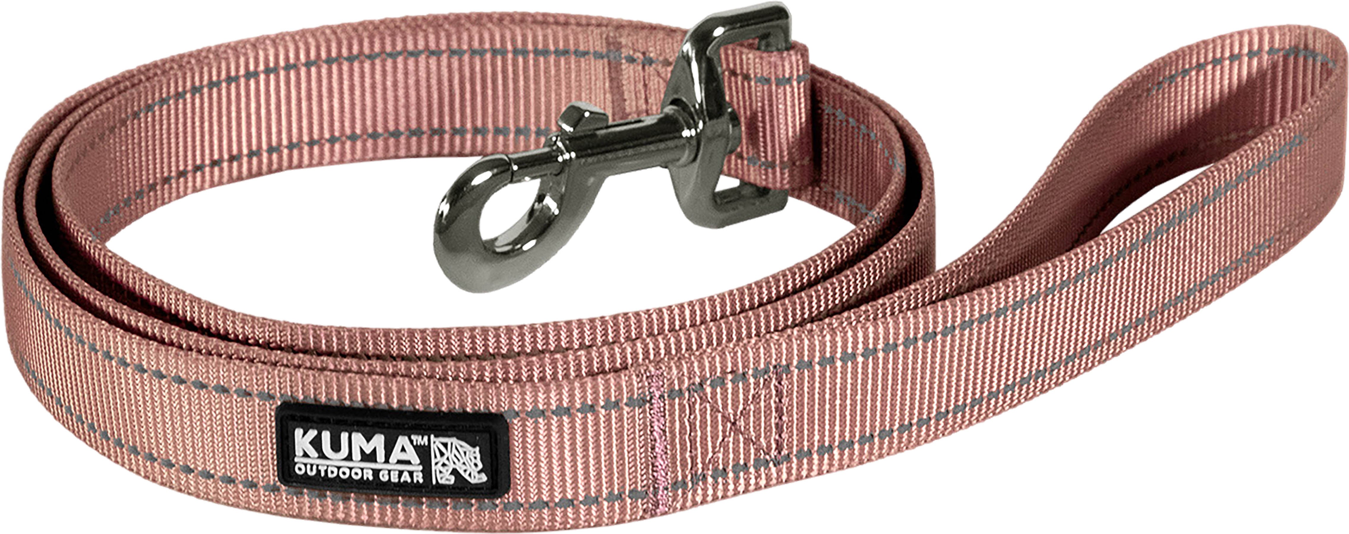 Lazy Bear Dog Leash