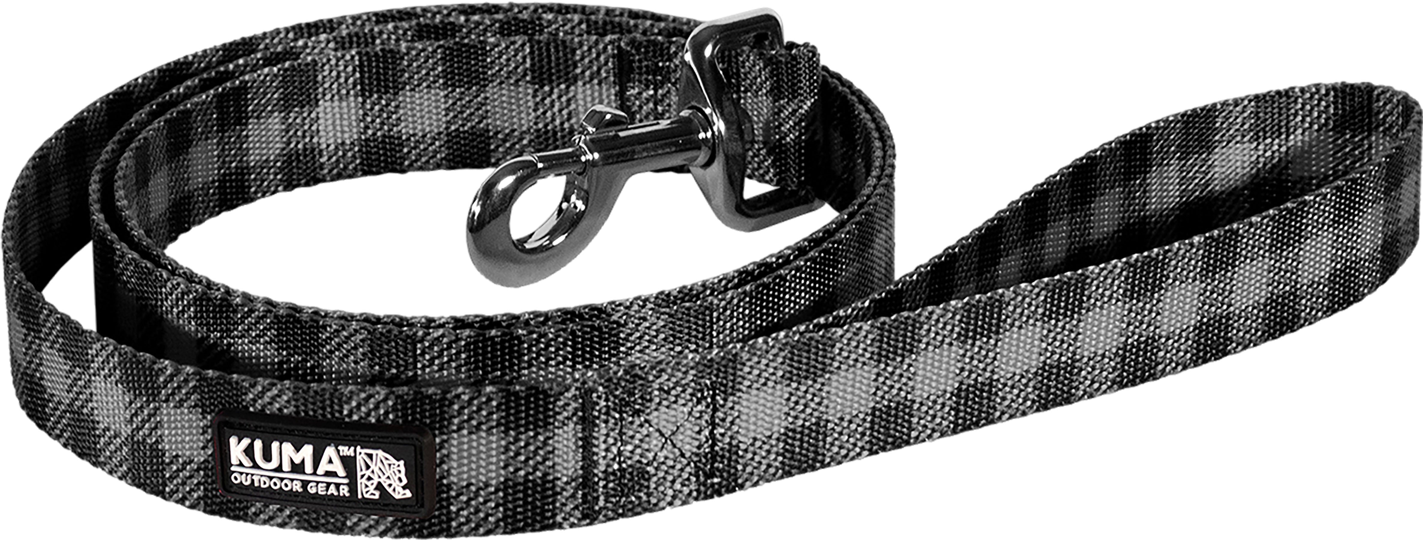 Lazy Bear Dog Leash