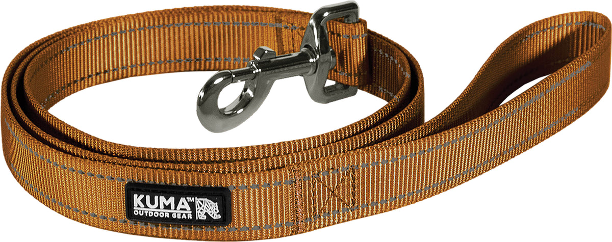 Lazy Bear Dog Leash