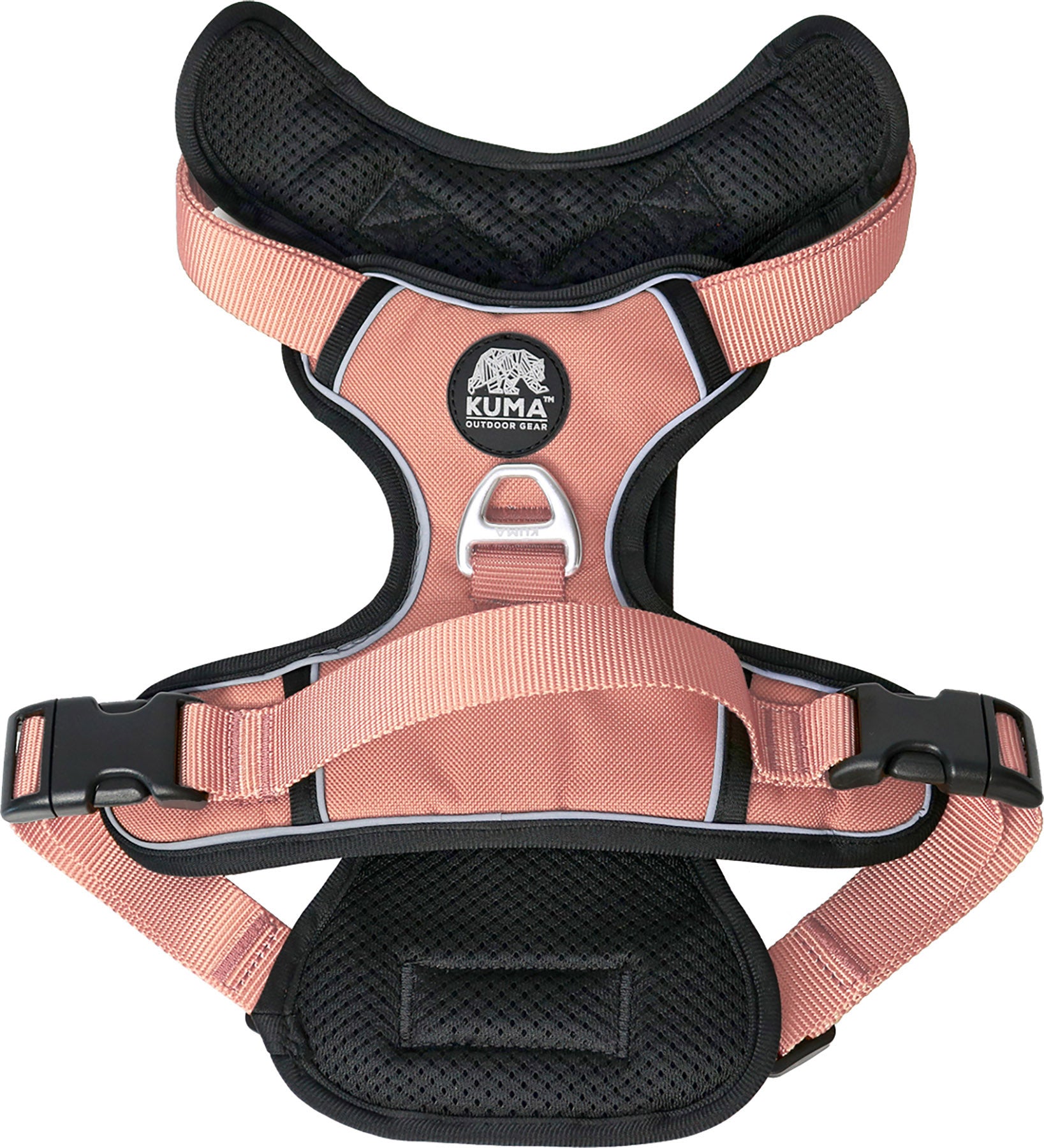 Lazy Bear Dog Harness