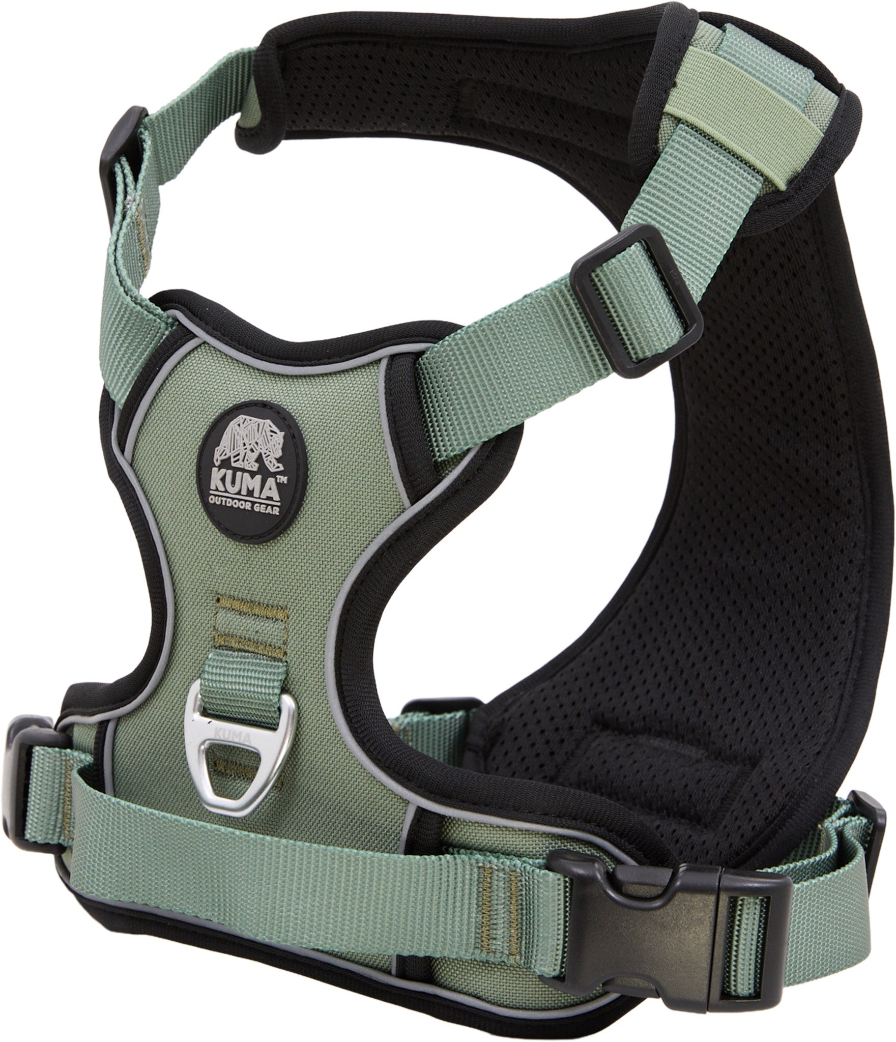Lazy Bear Dog Harness