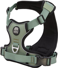 Lazy Bear Dog Harness