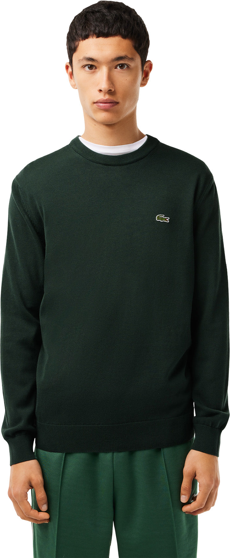 Organic Cotton Crew Neck Sweater - Men's