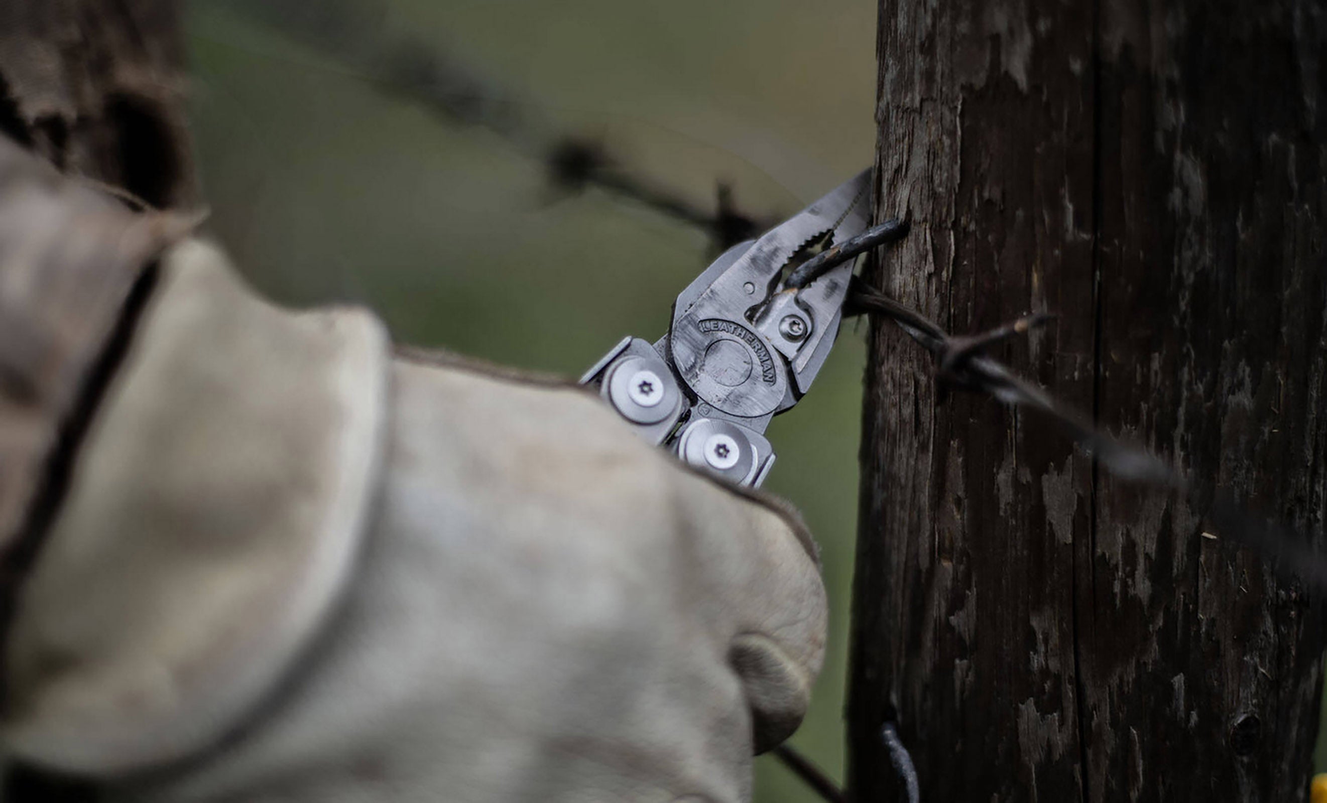 Surge Multi-tools Pliers