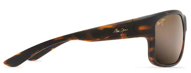 Southern Cross Polarized Sunglasses
