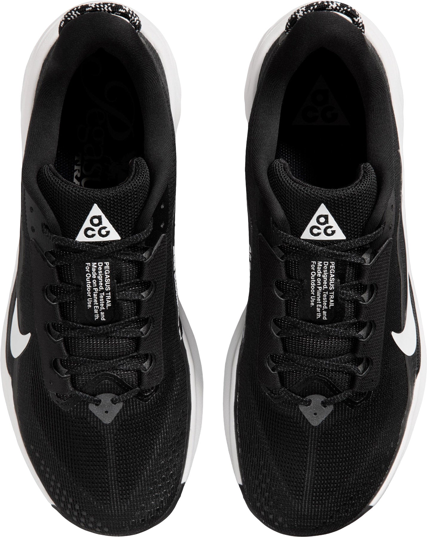 ACG Pegasus Trail Running Shoes - Men's