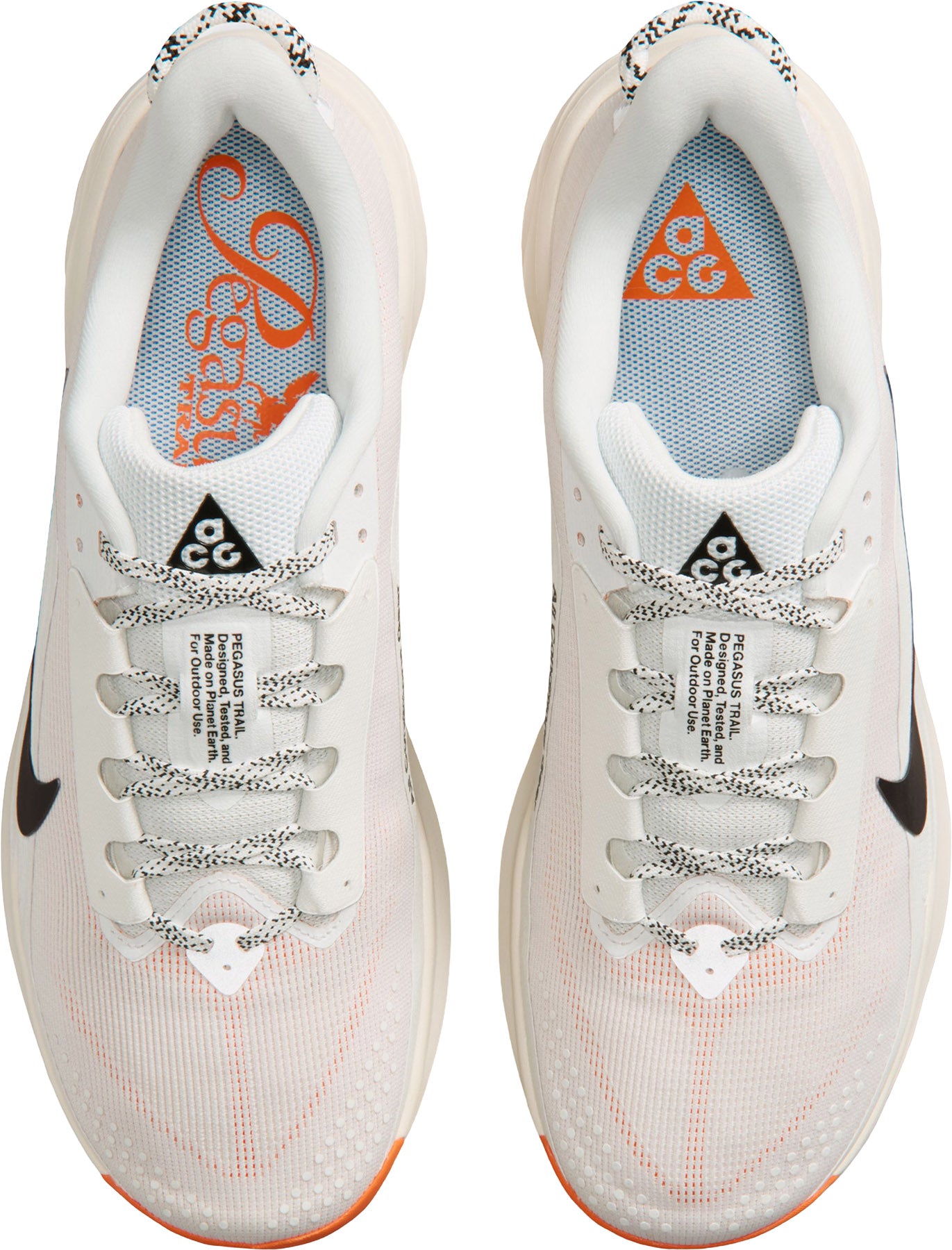 ACG Pegasus Trail Running Shoes - Men's