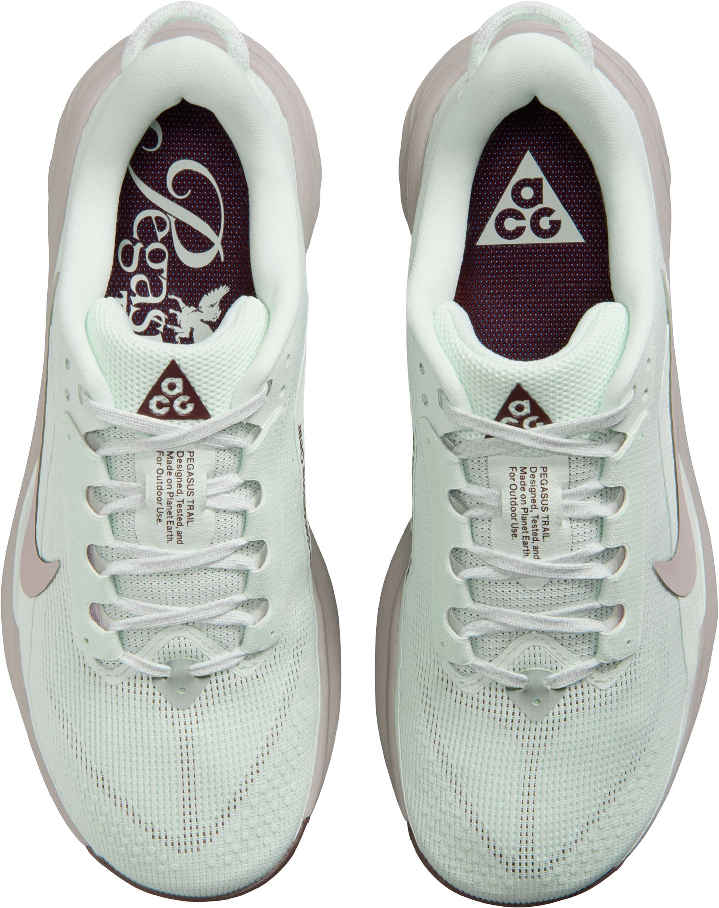 ACG Pegasus Trail Running Shoes - Women's