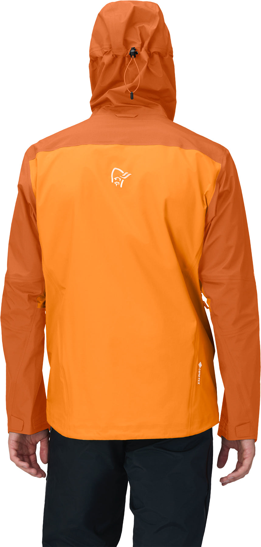 Falketind GORE-TEX Jacket - Men's