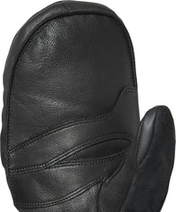 Team Gauntlet GORE-TEX Mitt