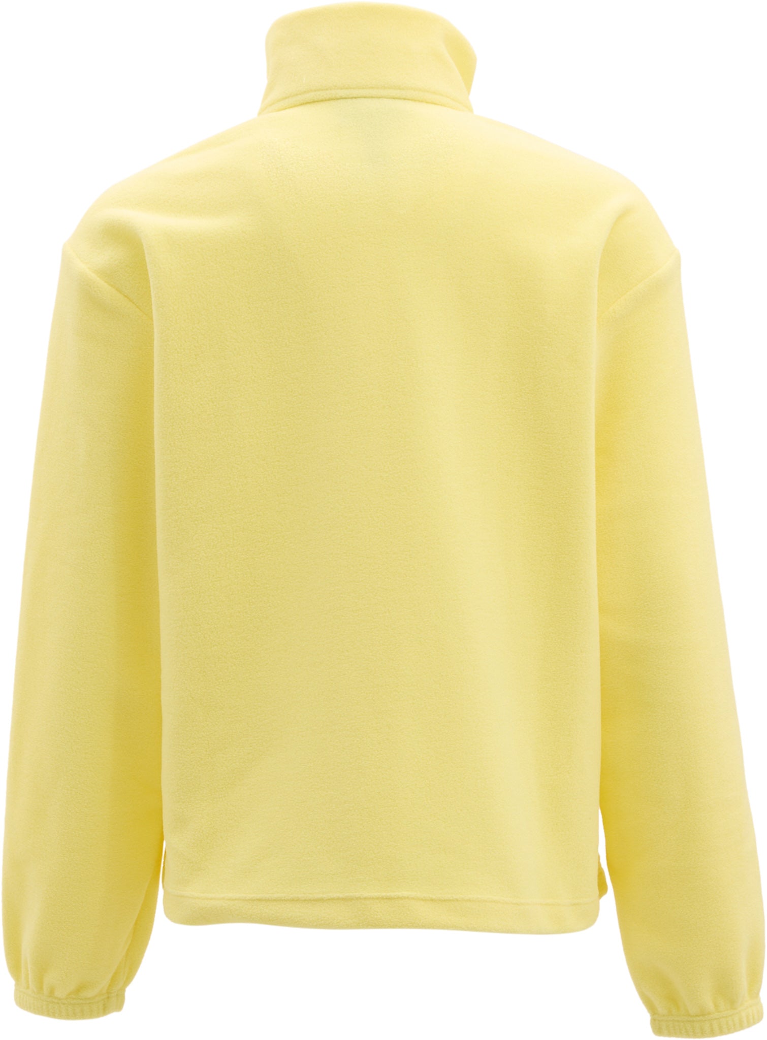 Micro D 1/2-Zip Fleece Pullover - Women's