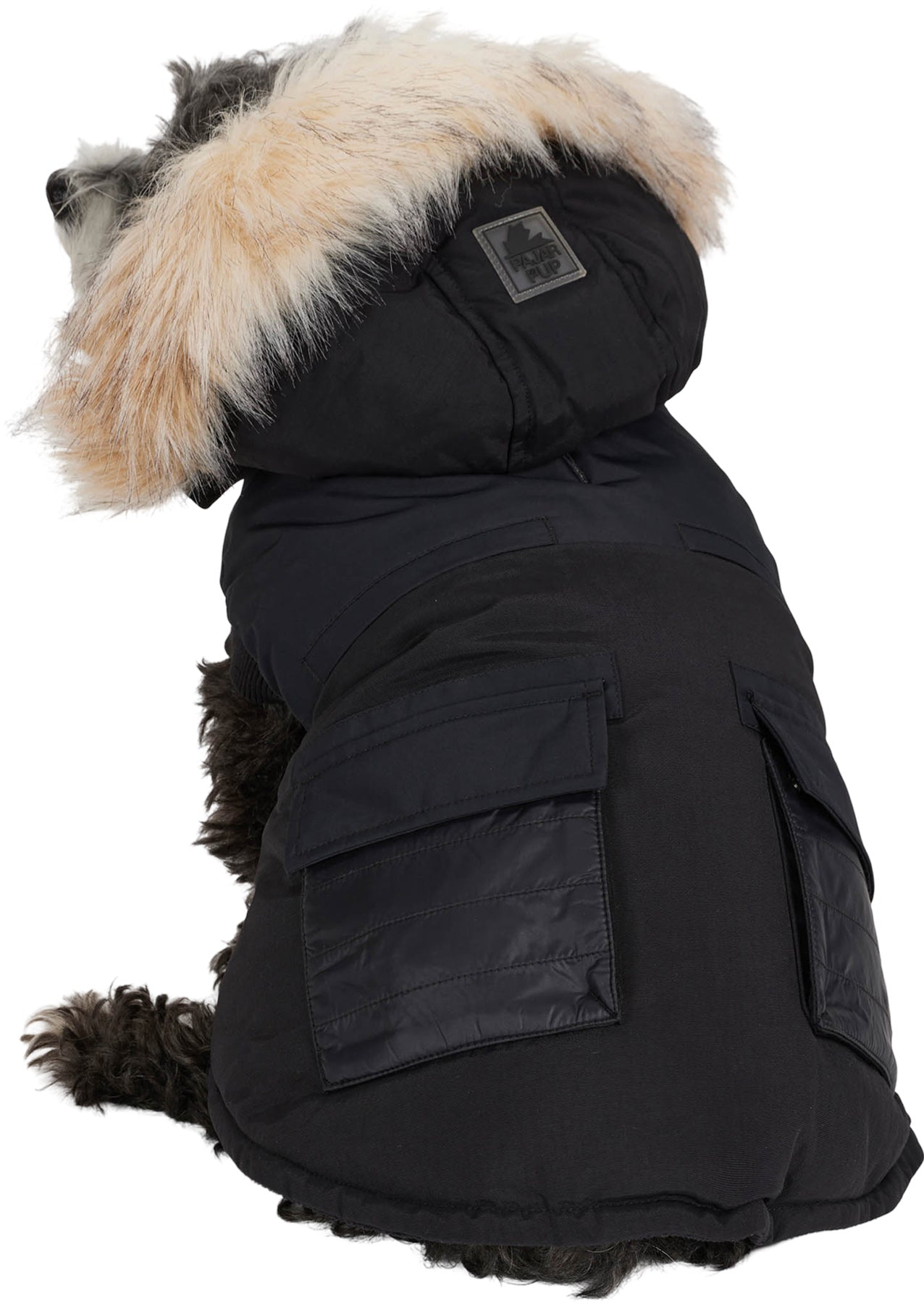 Zeus Faux Fur Trim Jacket for Dogs