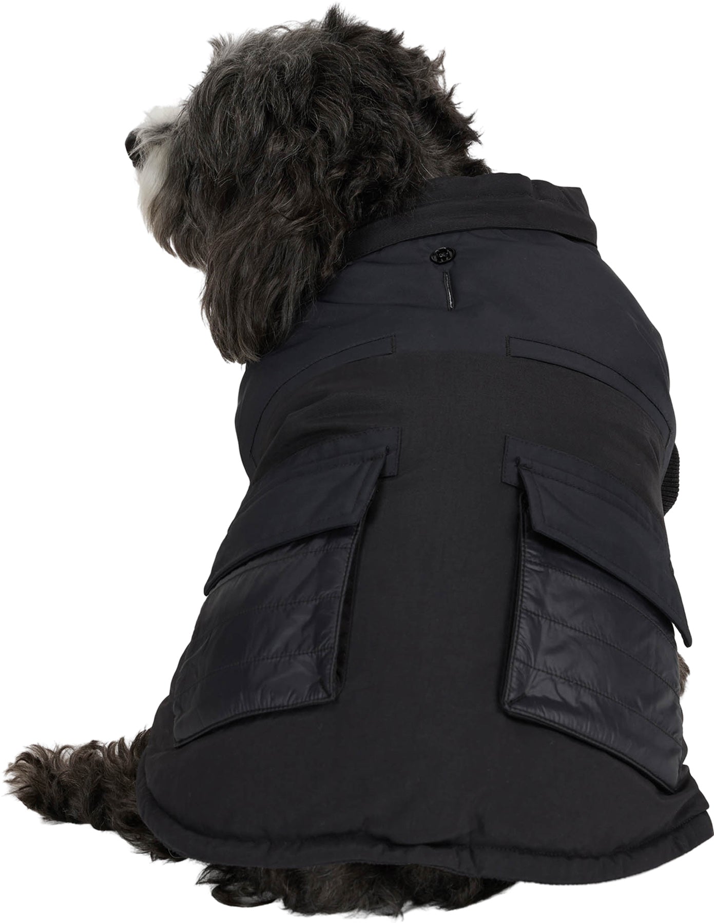 Zeus Faux Fur Trim Jacket for Dogs