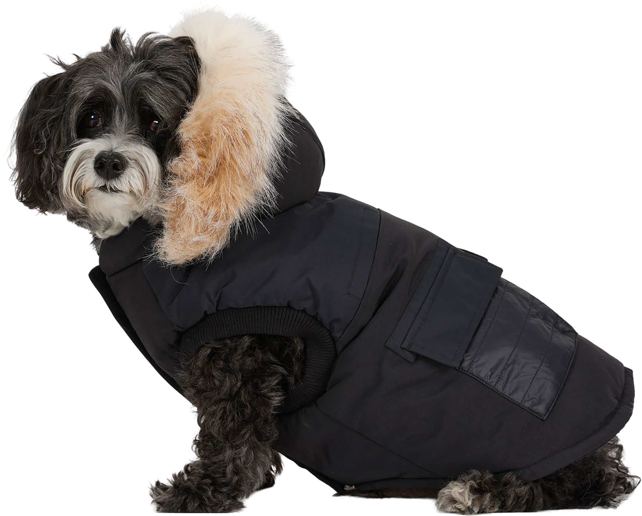 Zeus Faux Fur Trim Jacket for Dogs