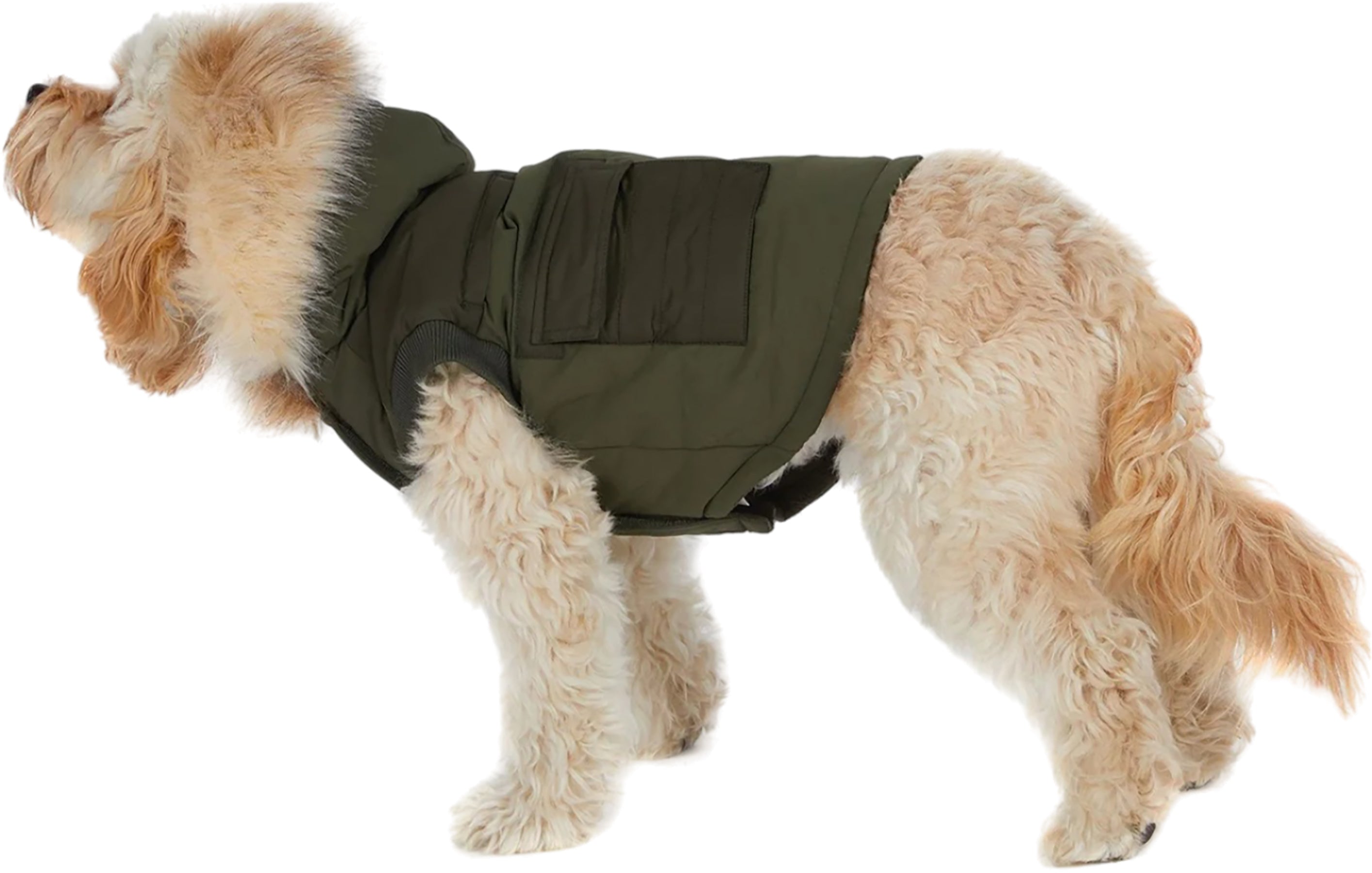 Zeus Faux Fur Trim Jacket for Dogs