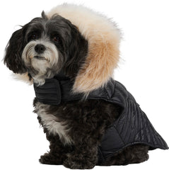Zola Faux Fur Trim Jacket for Dogs