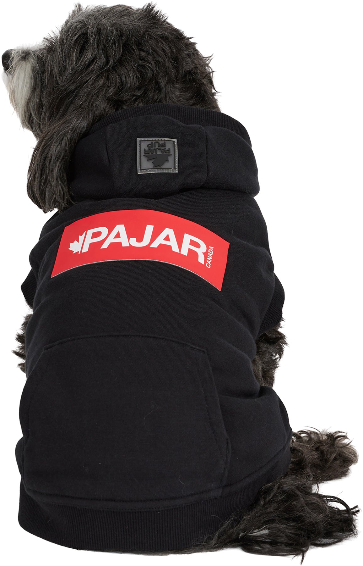 Dash Hoodie for Dogs