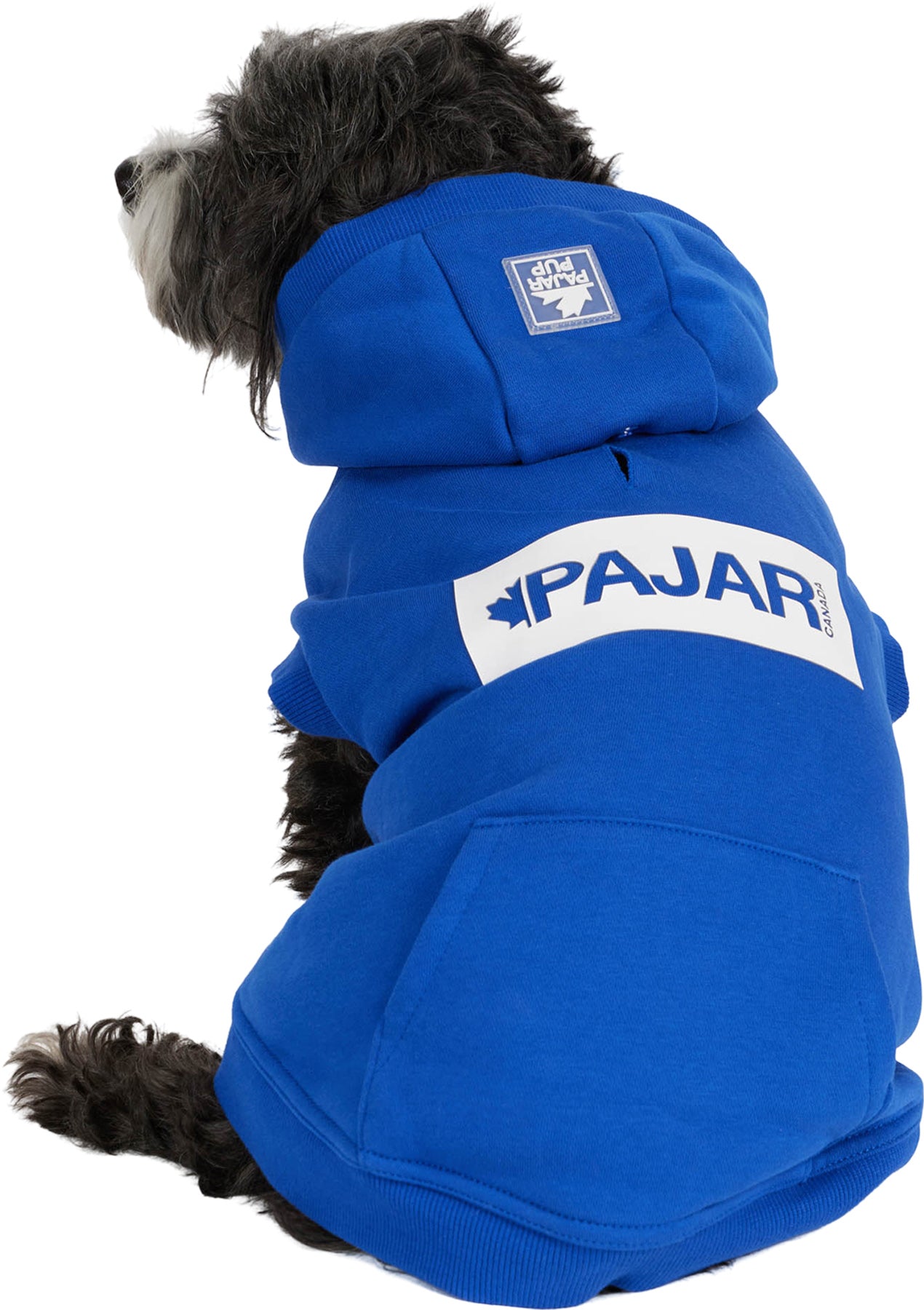 Dash Hoodie for Dogs