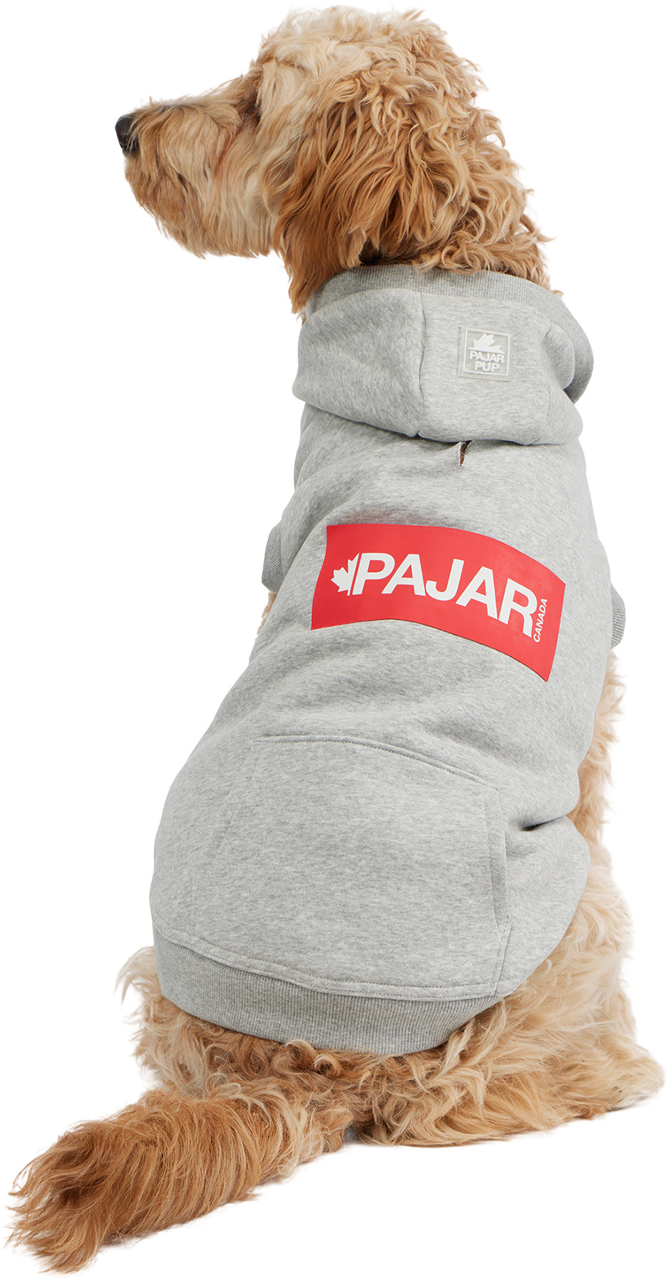 Dash Hoodie for Dogs
