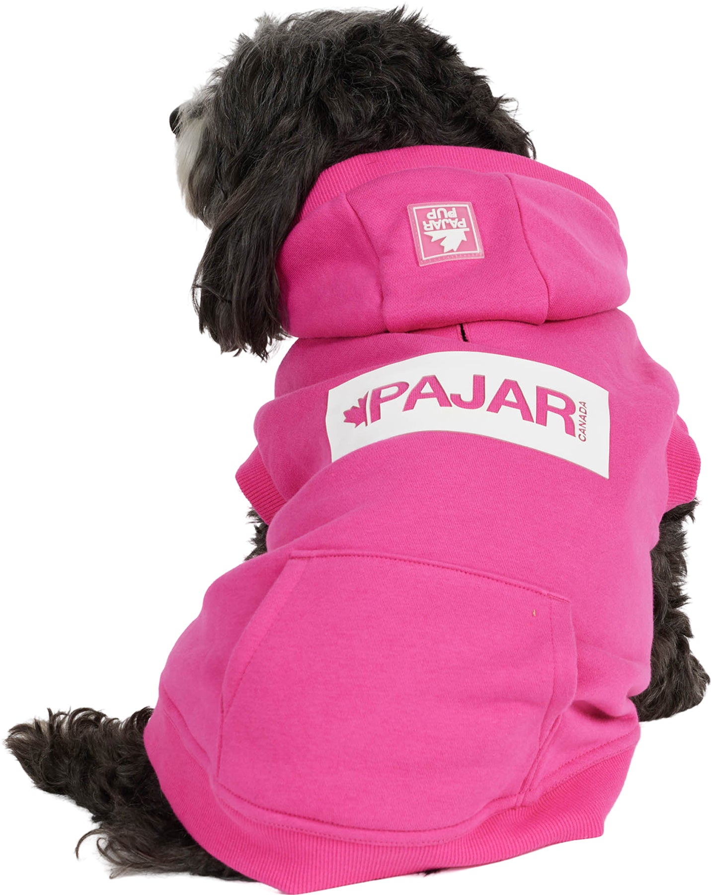 Dash Hoodie for Dogs