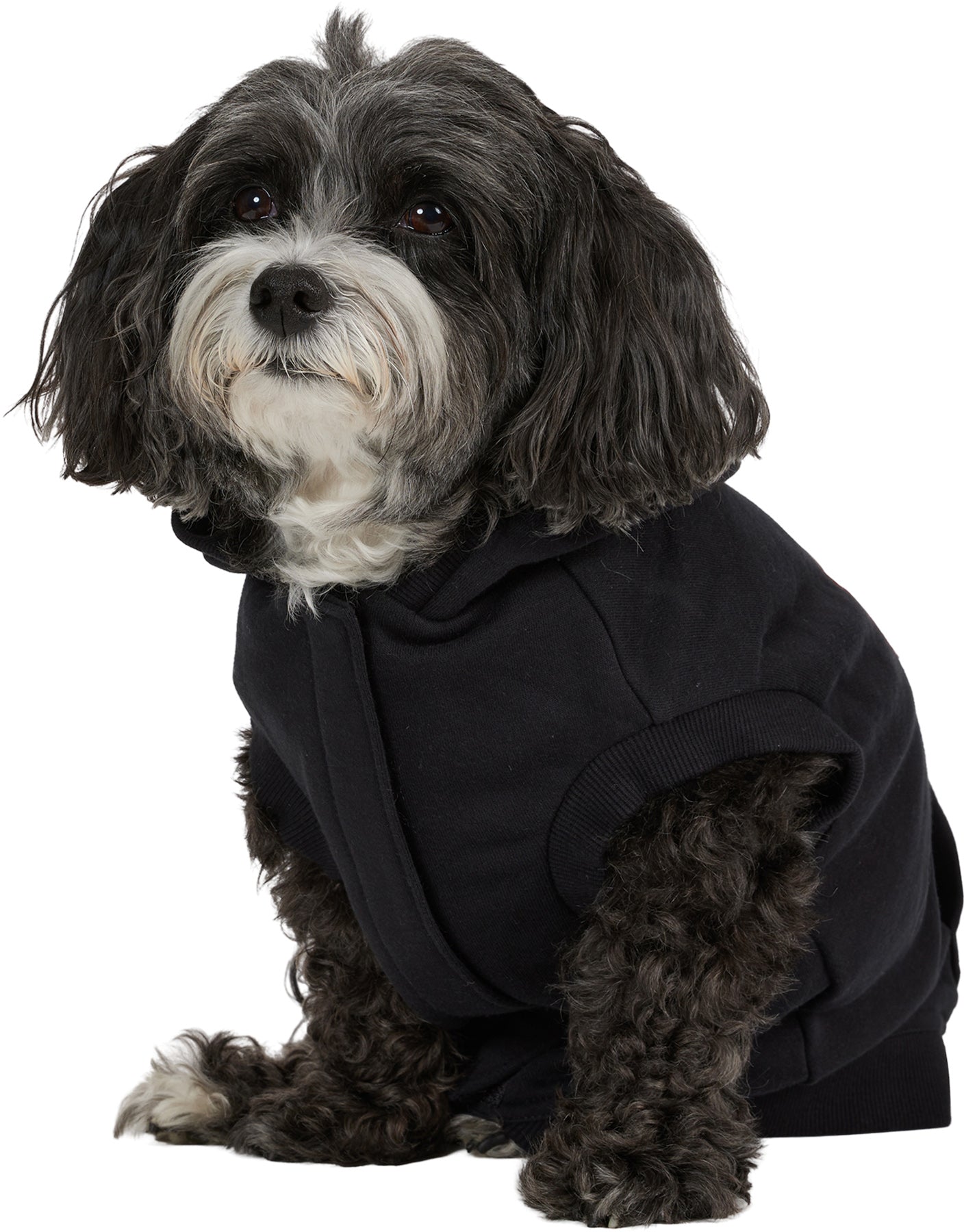 Dash Hoodie for Dogs