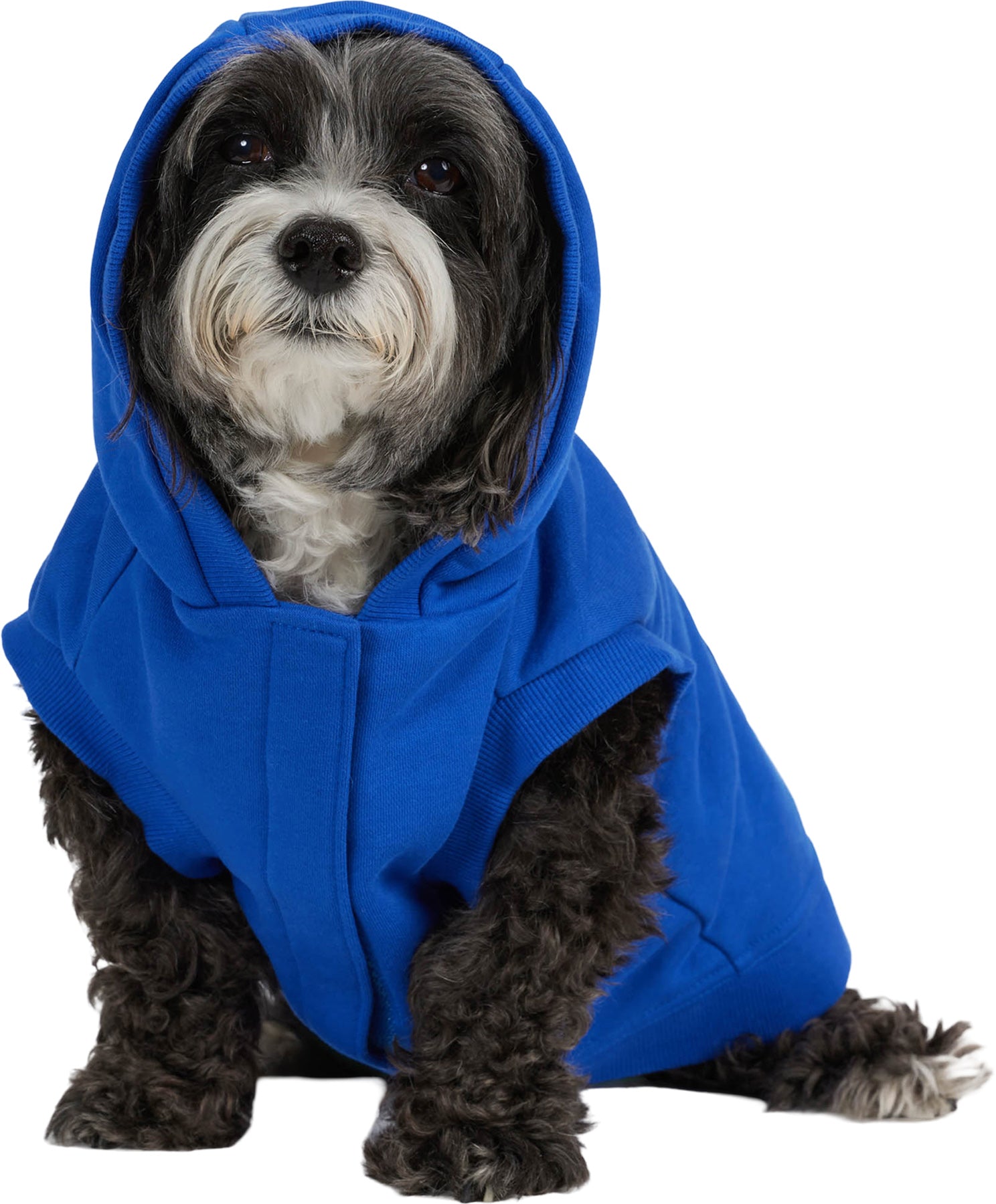 Dash Hoodie for Dogs