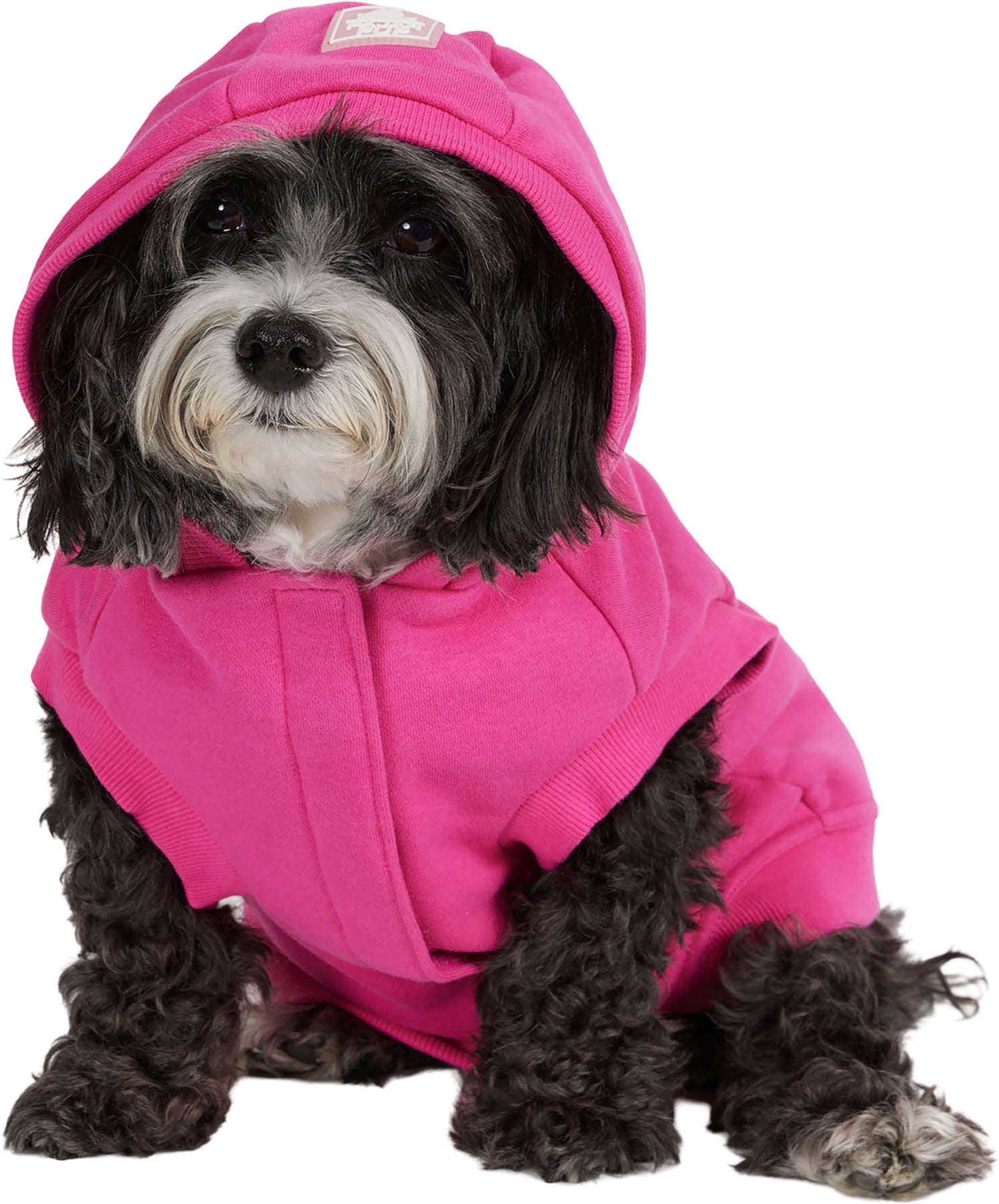 Dash Hoodie for Dogs