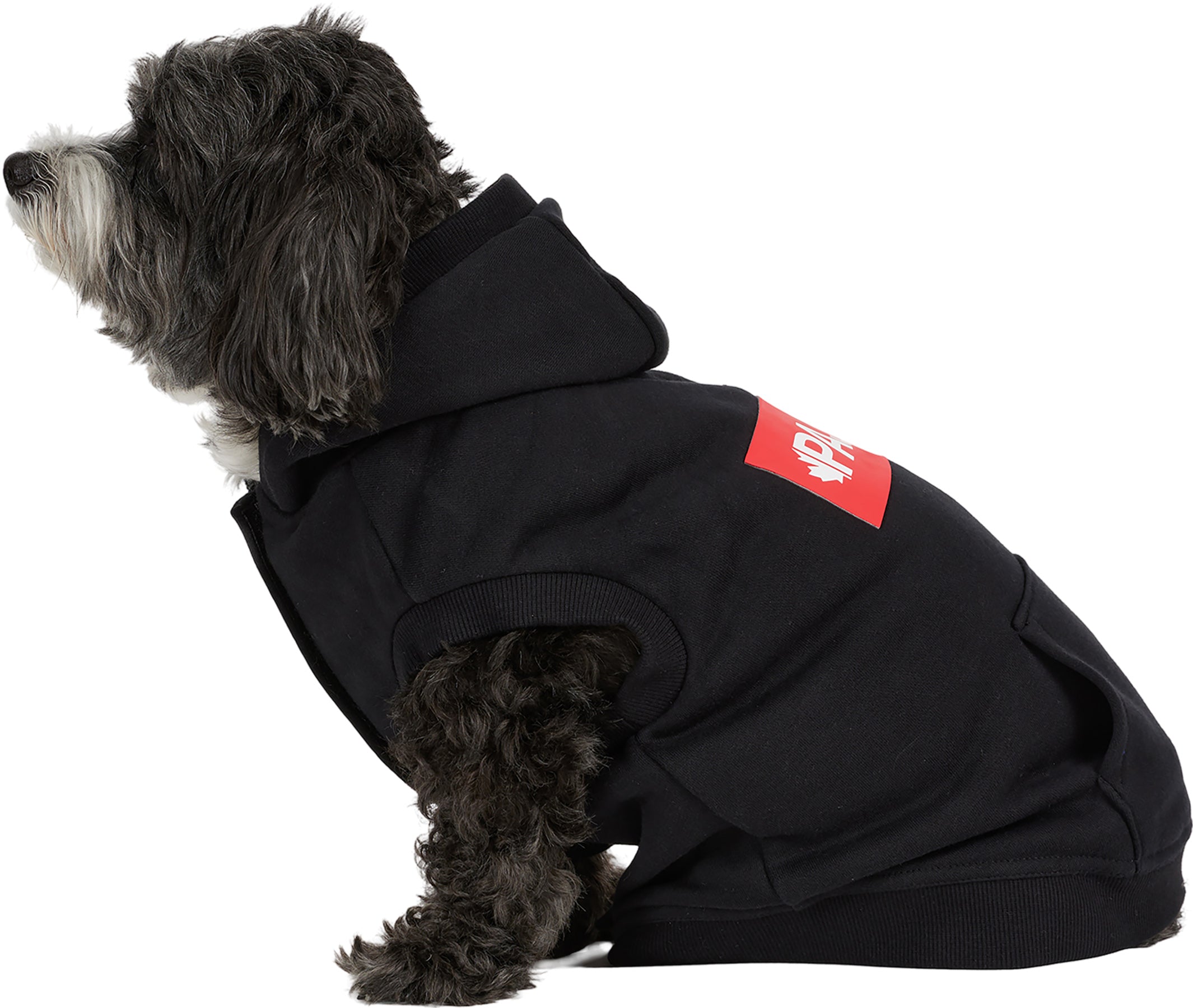 Dash Hoodie for Dogs