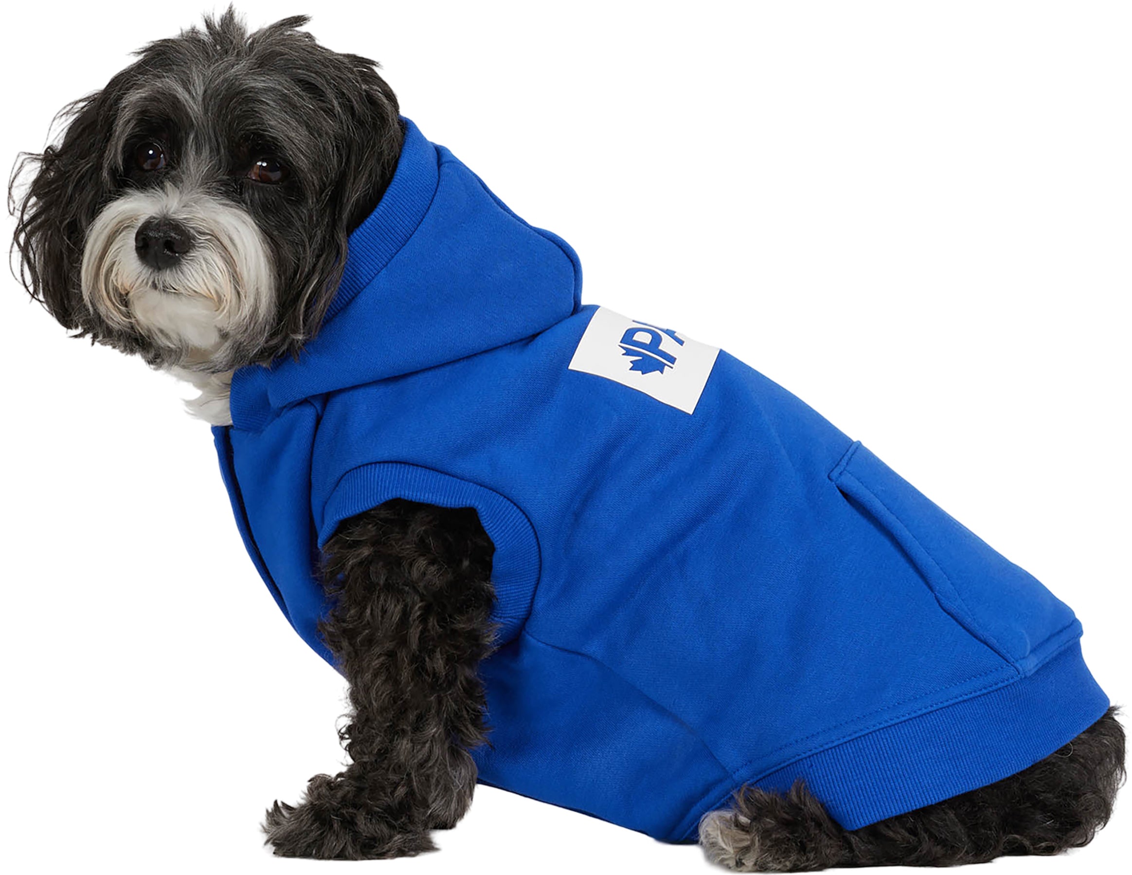 Dash Hoodie for Dogs
