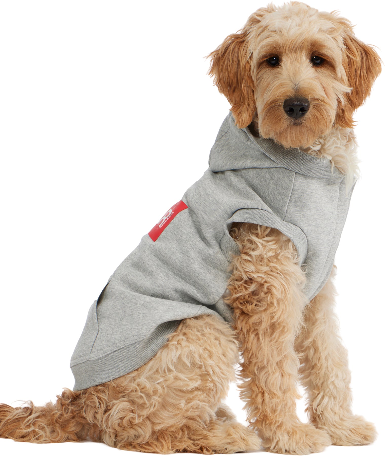 Dash Hoodie for Dogs