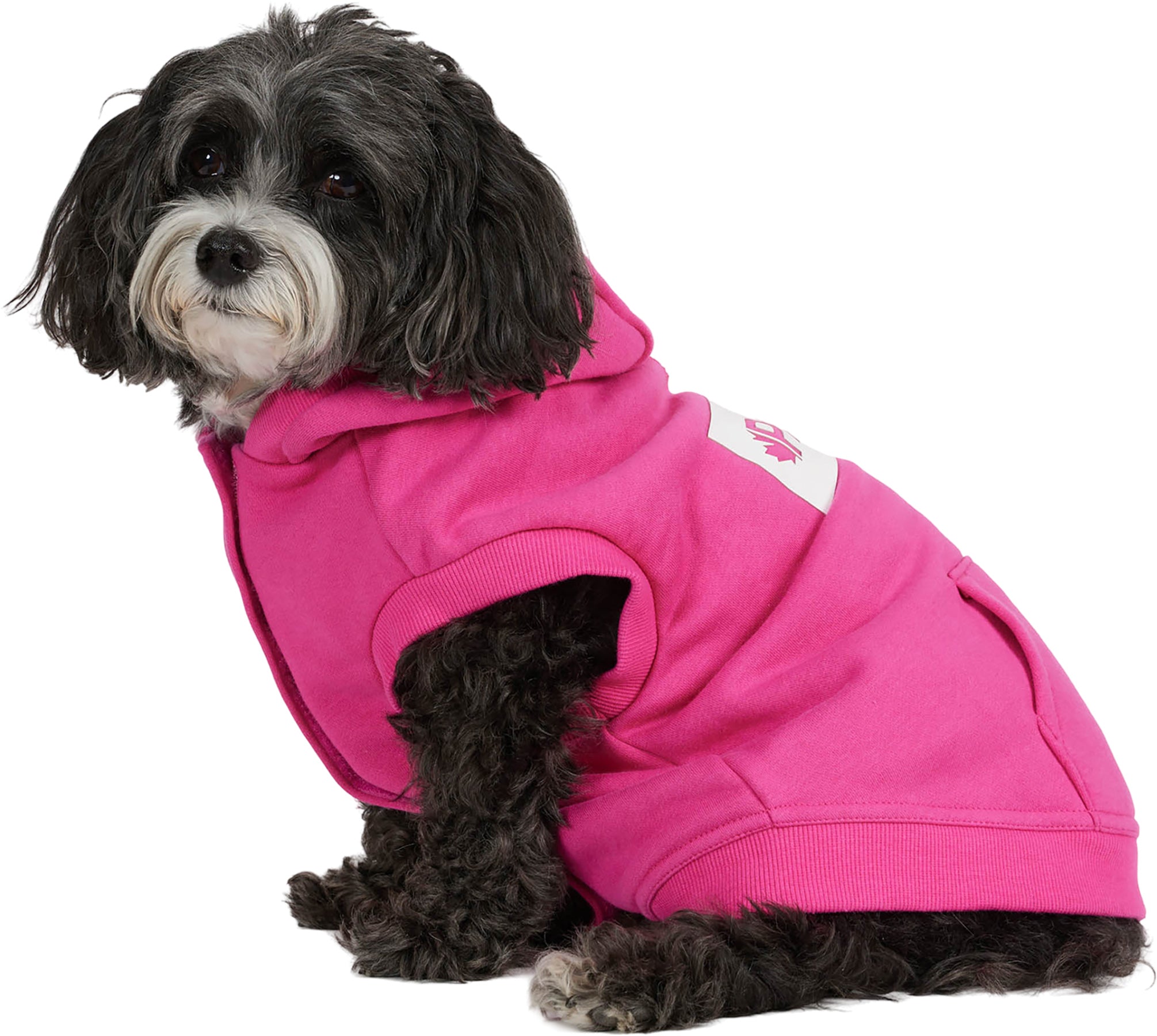 Dash Hoodie for Dogs