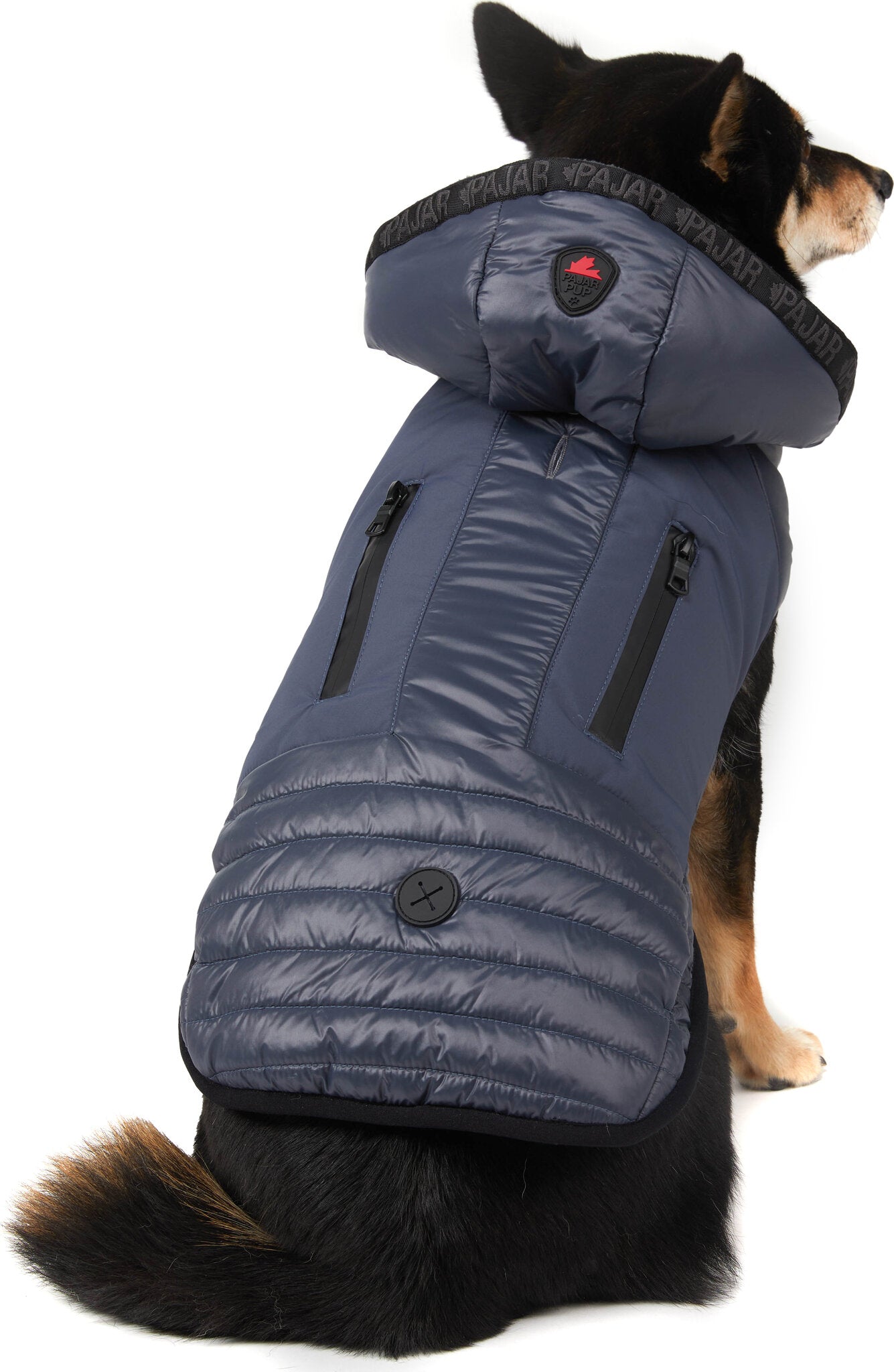 Eddie Mixed Media Quilted Jacket with Hood for Dogs