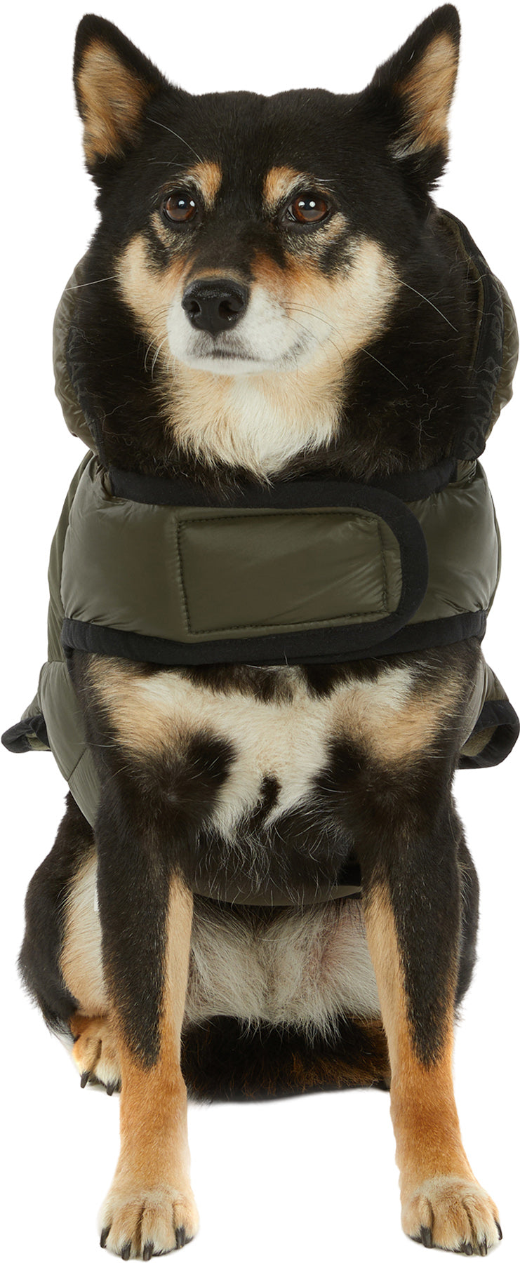 Eddie Mixed Media Quilted Jacket with Hood for Dogs