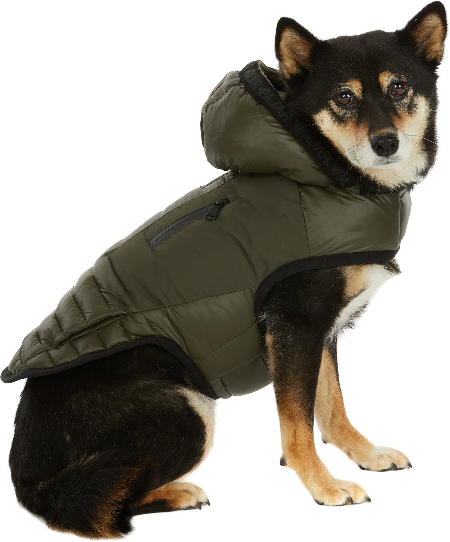 Eddie Mixed Media Quilted Jacket with Hood for Dogs