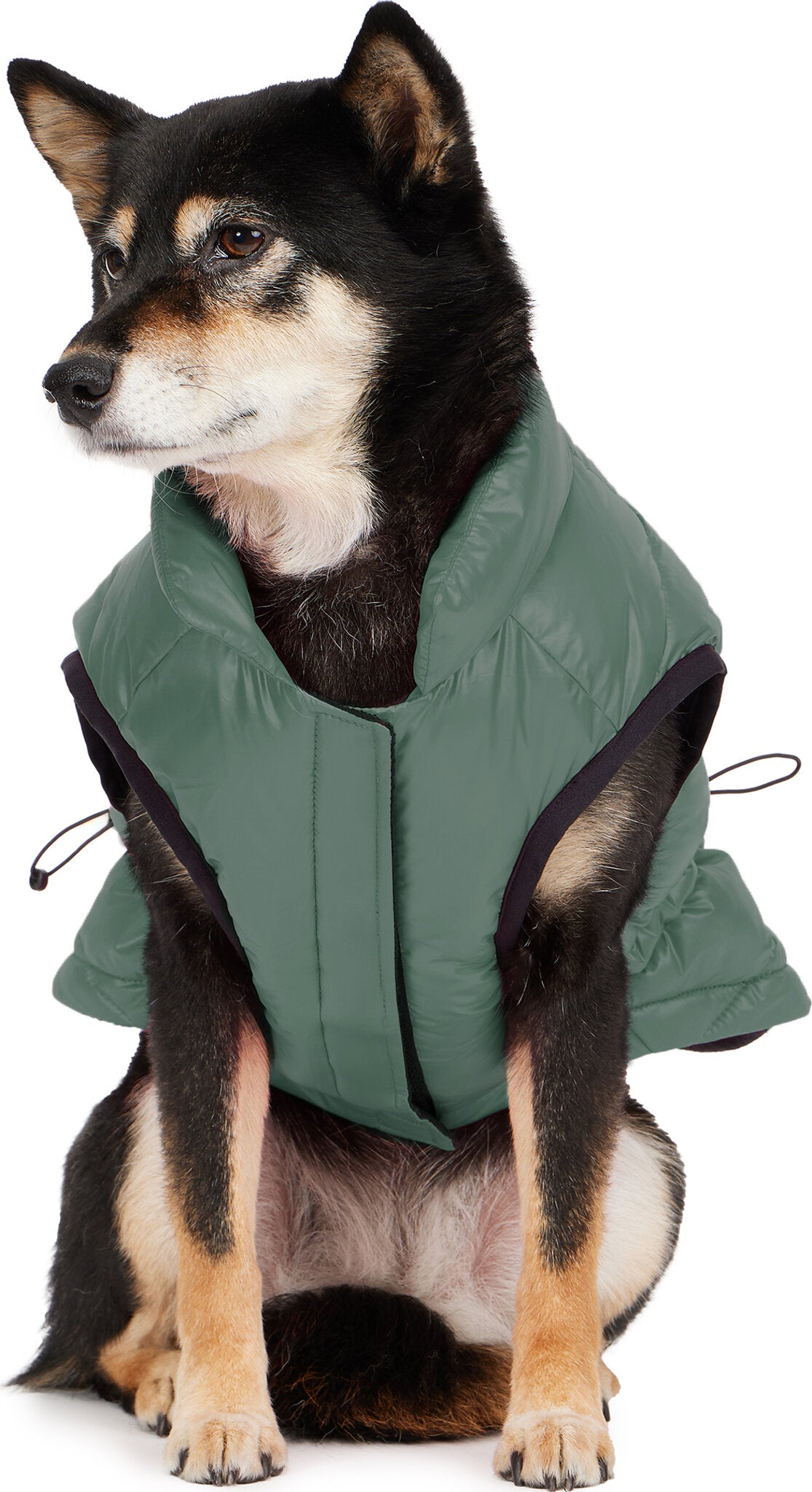 Rosie Quilted Coat with Zipper Pockets Cinched Waist for Dogs