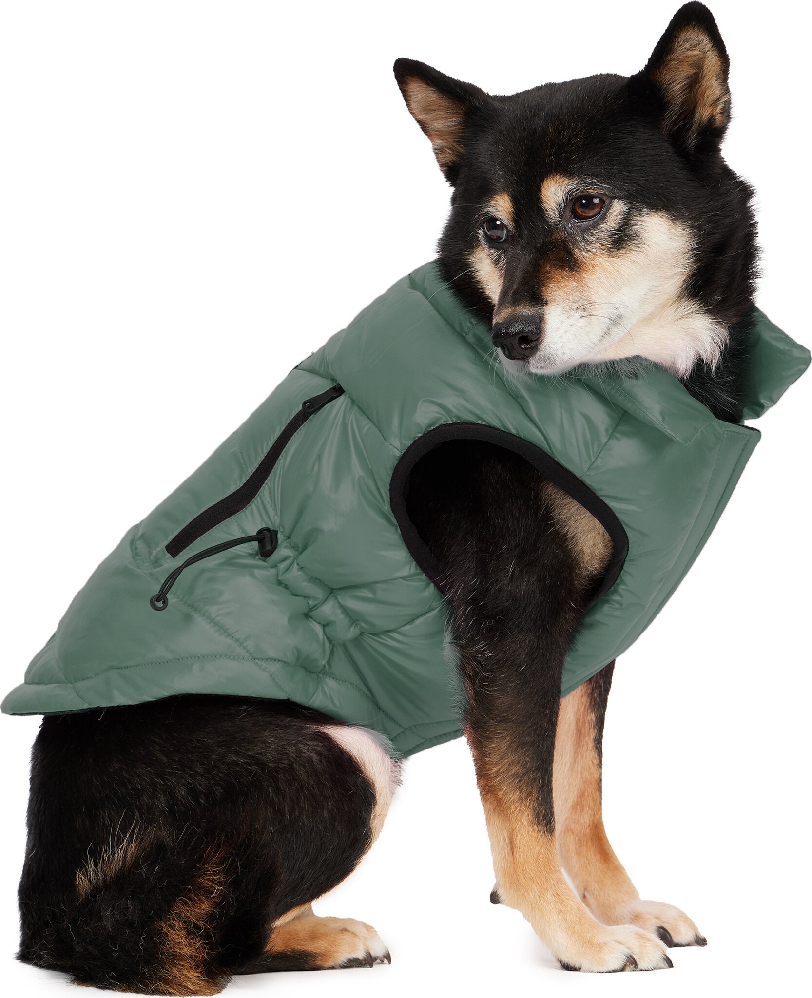 Rosie Quilted Coat with Zipper Pockets Cinched Waist for Dogs